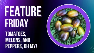 Feature Friday. Brad's atomic grape, cherry tomatoes and more!