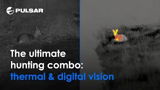 The ultimate hunting combo | Pulsar Digex C50 + Helion 2 XP50 PRO | By Night Vision Viking