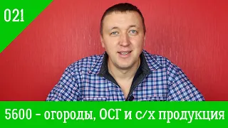 021. Агрофинансы. 5600 - что делать с огородами, ОСГ и продукцией выращенной на этой земле.