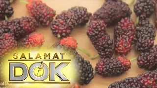 Salamat Dok: Mulberry | Cure Mula sa Nature