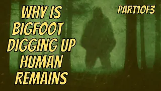 (Prt1of3)Bigfoot Seen Retrieving Bodies Mystery Terrifying Story| (Strange But True Stories!)