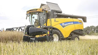 🇵🇱 Żniwa Rzepaku 2023 ☆ Nowe Gospodarstwo na Kanale Gr Podufalscy! @agromefik14 New Holland Cx 5.80