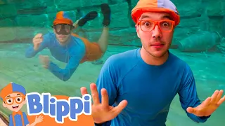 Blippi's Quest: In Search of the Mother Pearl! | BLIPPI | Kids TV Shows | Cartoons For Kids