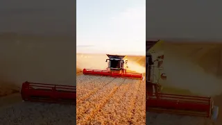 2x Claas Lexion 8700TT Combine 🌾🌾 #shorts #short #grow #viral #tractor #claaslexion #claas