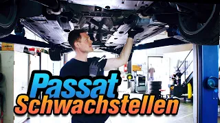 Worauf beim Kauf achten? Kaufberatung Passat B7 | Alex Allround Service