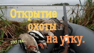 Открытие охоты на утку.2019 год.