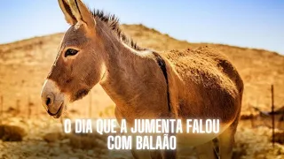 Deus usou a Jumenta para dar Recado a BALAÃO