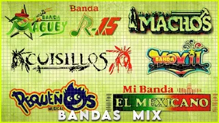 MIX BANDAS DE LOS 90S: BANDA MAGUEY, BANDA MACHOS, BANDA R-15, BANDA CUISILLOS, MOVIL...