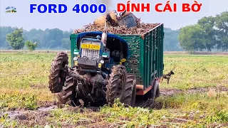 Máy cày ford 4000 chở củ mì đạp cở này mà còn dính cái bờ nè anh em