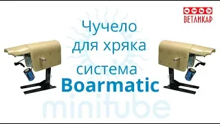 Чучело для хряка с системой BoarMatic