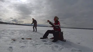 Kairankäsittelijät Vätsäri