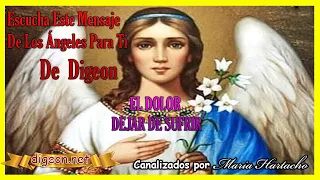 MENSAJE de los ÁNGELES PARA TI DIGEON💌ARCÁNGEL GABRIEL💌💥EL DOLOR💥DEJAR DE SUFRIR