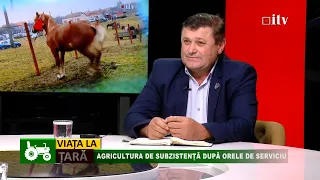 Viața la Țară |  Agricultura de subzistență după orele de serviciu