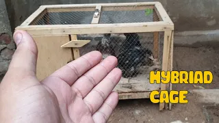 Hybrid Bird Cage 🧐🧐