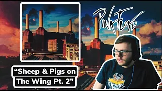 FIRST TIME HEARING "SHEEP" - PINK FLOYD (REACTION)