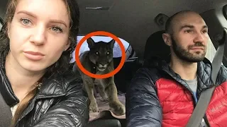 Couple Takes Sick Animal Home, But Never Expected This!