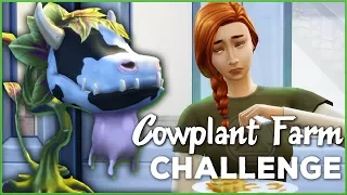 An Uncertain Farmyard Future 🐄🌱 Sims 4 Cowplant Farm: Episode #32