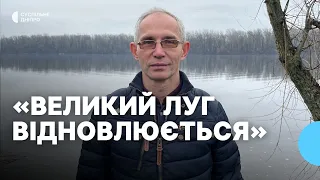 Дно колишнього Каховського водосховища перетворюється на ліс. Інтерв'ю з екологом Вадимом Манюком