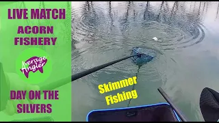 LIVE MATCH FISHING//Acorn Fishery peg17//Skimmers//Pellet fishing in winter//Silver fish