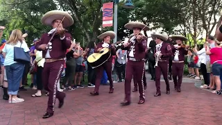 Dancing Horses open the Day of the Dead Skeleton Procession in Fort Lauderdale