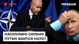 НАТО вмешается в войну, когда УМРУТ миллионы украинцев? Политолог США рассказал ВСЮ ПРАВДУ