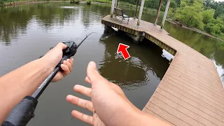 RAW & UNCUT Fishing in my Childhood Pond!!! (SURPRISE CATCH)