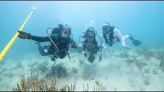 Brightmark X NOAA's Florida Keys National Marine Sanctuary
