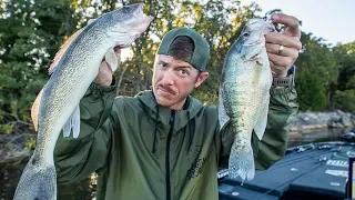 BEST FRESHWATER FISH TO EAT? (Crappie vs Walleye Catch & Cook)