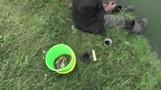 Рыбалка в воскресный день на лагерном пруду.  28. 08. 2016.  Посёлок Потеряевка.