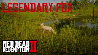 RDR2- 4K HDR PS5 Graphic Showcase! Hunting Legendary Fox