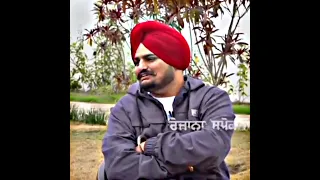 Sidhu On Punjabi's In Indian Army | Sidhu Moose Wala Interview Status #sidhumoosewala #shorts #viral