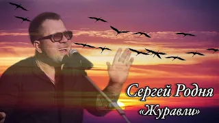 Сергей Родня - Журавли