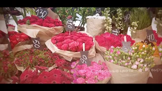 Франшиза цветочного магазина "Мистер Флористер"