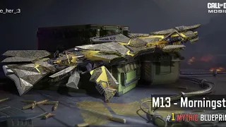 m13 morningstar with all camos+gunsmith