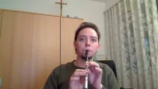 Fullmetal Alchemist - Brothers  (Tin Whistle)