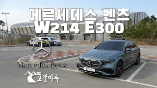 메르세데스 벤츠 Mercedes-Benz W214 E300 [차량리뷰] 이민재