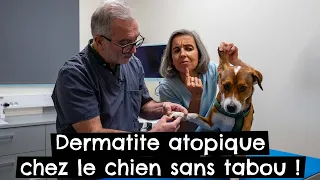 Dermatite atopique chez le chien sans tabou ! 🐶 #allergies
