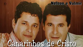 MELHORES MÚSICAS DOS CANARINHOS DE CRISTO COMPLETO 2020