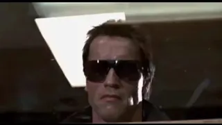 Terminator meme