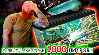 ЭТО НАДО УВИДЕТЬ! ПРОФИ грузчики разбили АКВАРИУМ 1000 литров!