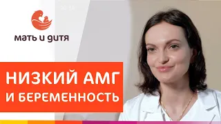 🤰 Успешная беременность при низком АМГ. Низкий АМГ и беременность. MD GROUP. 18+