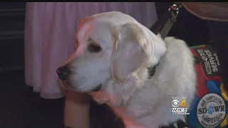 Mall Santa Sends Away Girl With Service Dog