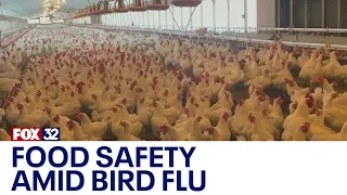 Bird flu outbreak raising food safety concerns