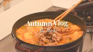 Autumn Vlog | Living Alone in Tokyo as a foreigner | Grocery Shopping