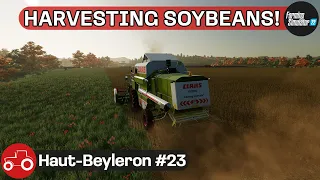 Harvesting The New Field, Selling Silage & Spreading Lime - Haut-Beyleron #23 FS22 Timelapse