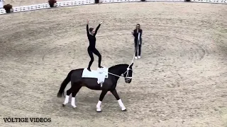 FEI Vaulting World Cup Final Basel 2024 - Alina Ross GER - Tech Test