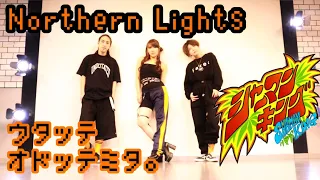 Northern Lights 【SHAMAN KING opening 2】 / 林原めぐみ ~歌って踊ってみた~