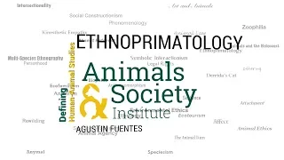Defining Ethnoprimatology with Agustín Fuentes - ASI's Defining Human-Animal Studies 08