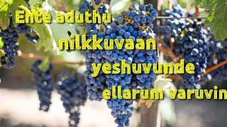 Ente Aduthu Nilkuvan Yesu Unde Ellarum Varuvin | Malayalam Christian song