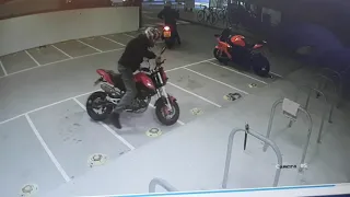 Motorcycle thieves steal bike left unlocked in Newcastle